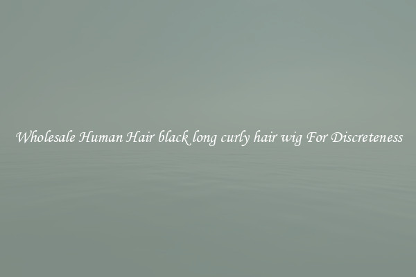 Wholesale Human Hair black long curly hair wig For Discreteness