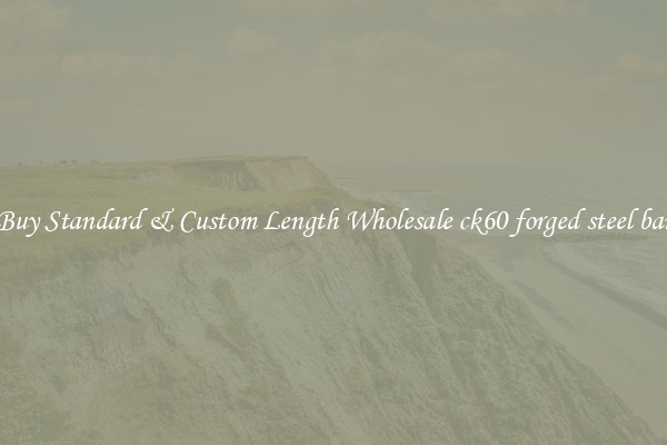 Buy Standard & Custom Length Wholesale ck60 forged steel bar