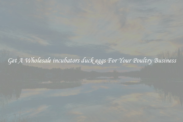 Get A Wholesale incubators duck eggs For Your Poultry Business