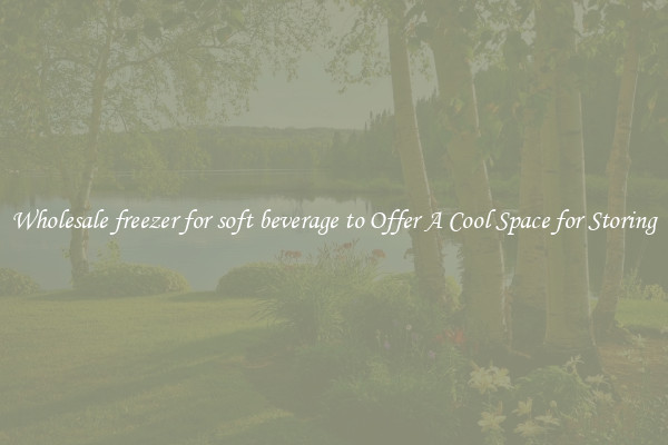 Wholesale freezer for soft beverage to Offer A Cool Space for Storing