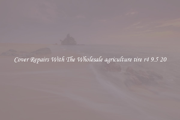  Cover Repairs With The Wholesale agriculture tire r4 9.5 20 