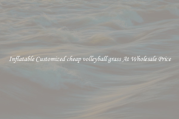 Inflatable Customized cheap volleyball grass At Wholesale Price