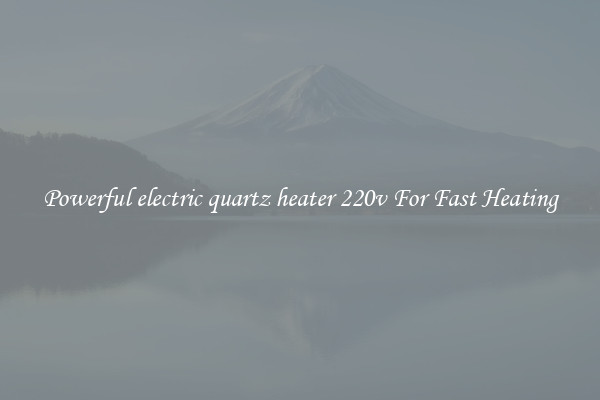 Powerful electric quartz heater 220v For Fast Heating