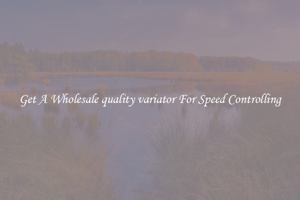 Get A Wholesale quality variator For Speed Controlling