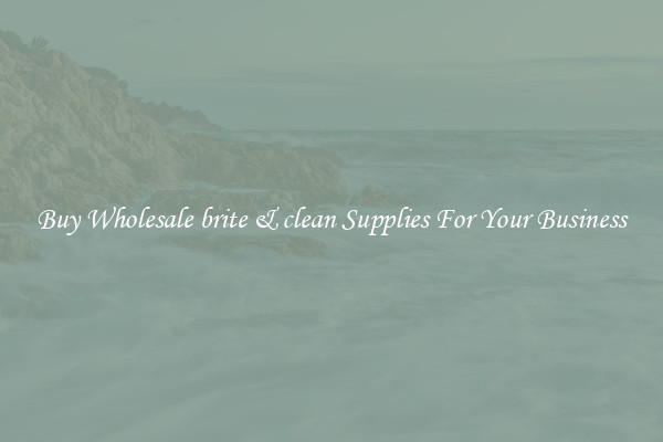 Buy Wholesale brite & clean Supplies For Your Business