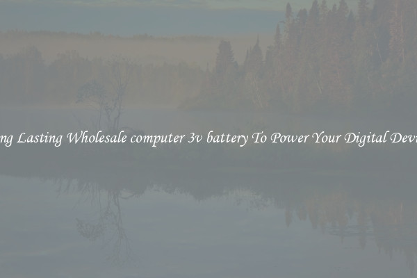 Long Lasting Wholesale computer 3v battery To Power Your Digital Devices