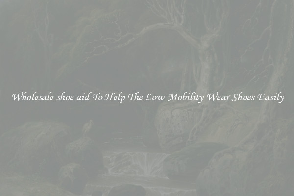Wholesale shoe aid To Help The Low Mobility Wear Shoes Easily