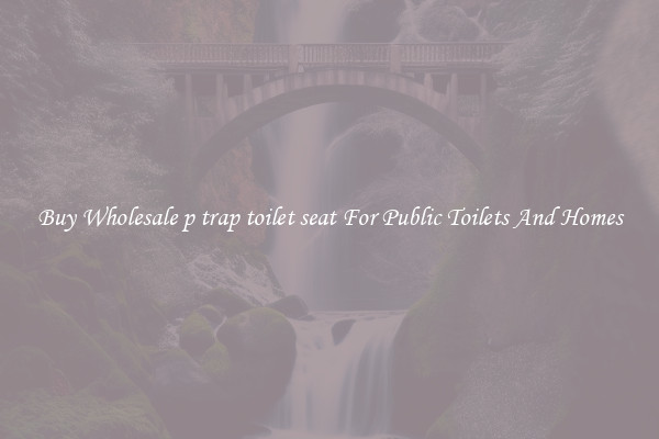 Buy Wholesale p trap toilet seat For Public Toilets And Homes