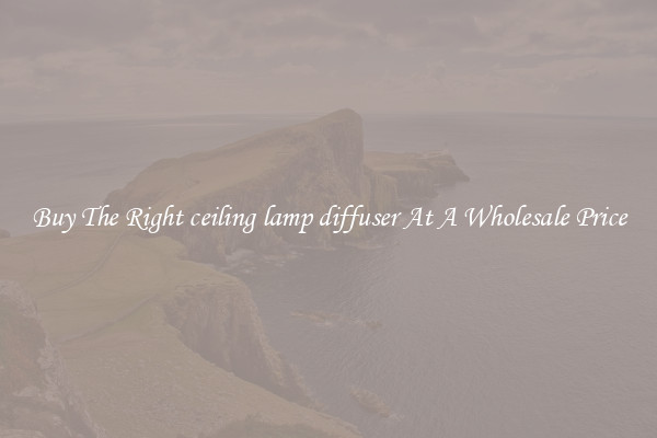 Buy The Right ceiling lamp diffuser At A Wholesale Price
