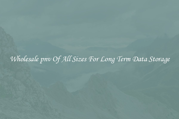 Wholesale pnv Of All Sizes For Long Term Data Storage