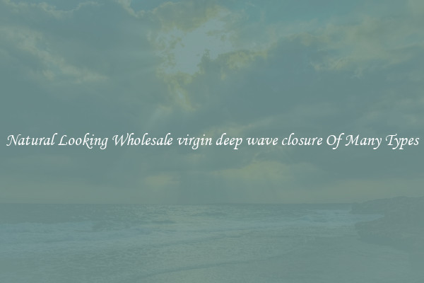 Natural Looking Wholesale virgin deep wave closure Of Many Types