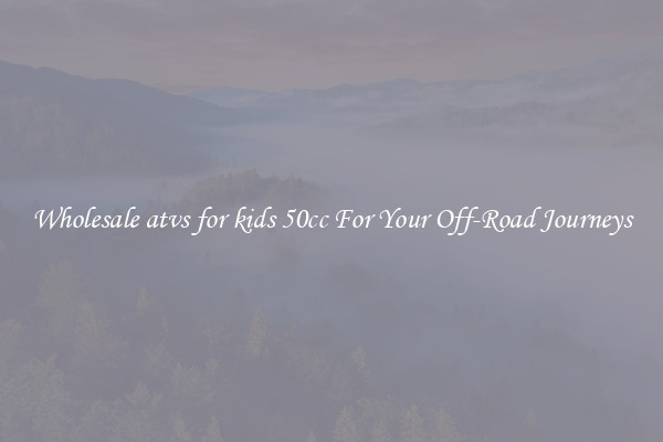 Wholesale atvs for kids 50cc For Your Off-Road Journeys