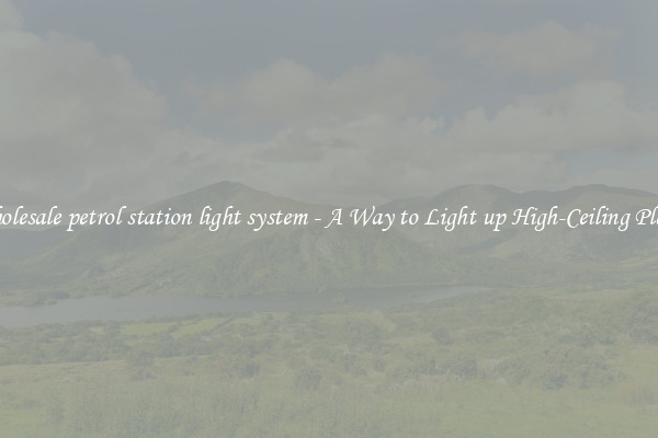 Wholesale petrol station light system - A Way to Light up High-Ceiling Places