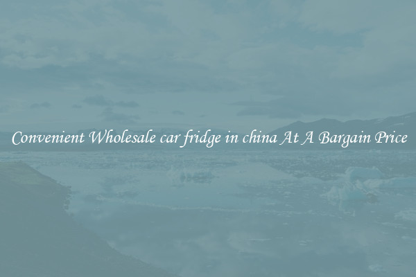Convenient Wholesale car fridge in china At A Bargain Price
