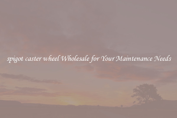 spigot caster wheel Wholesale for Your Maintenance Needs