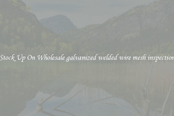 Stock Up On Wholesale galvanized welded wire mesh inspection