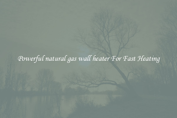 Powerful natural gas wall heater For Fast Heating