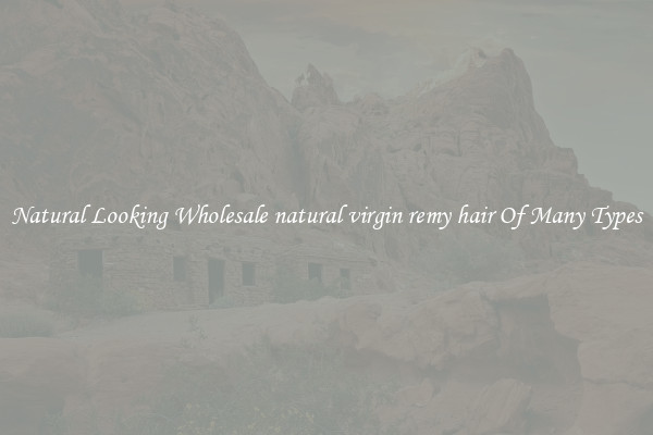 Natural Looking Wholesale natural virgin remy hair Of Many Types