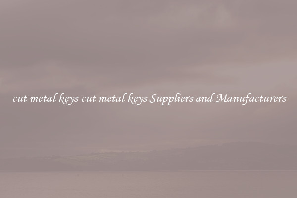 cut metal keys cut metal keys Suppliers and Manufacturers
